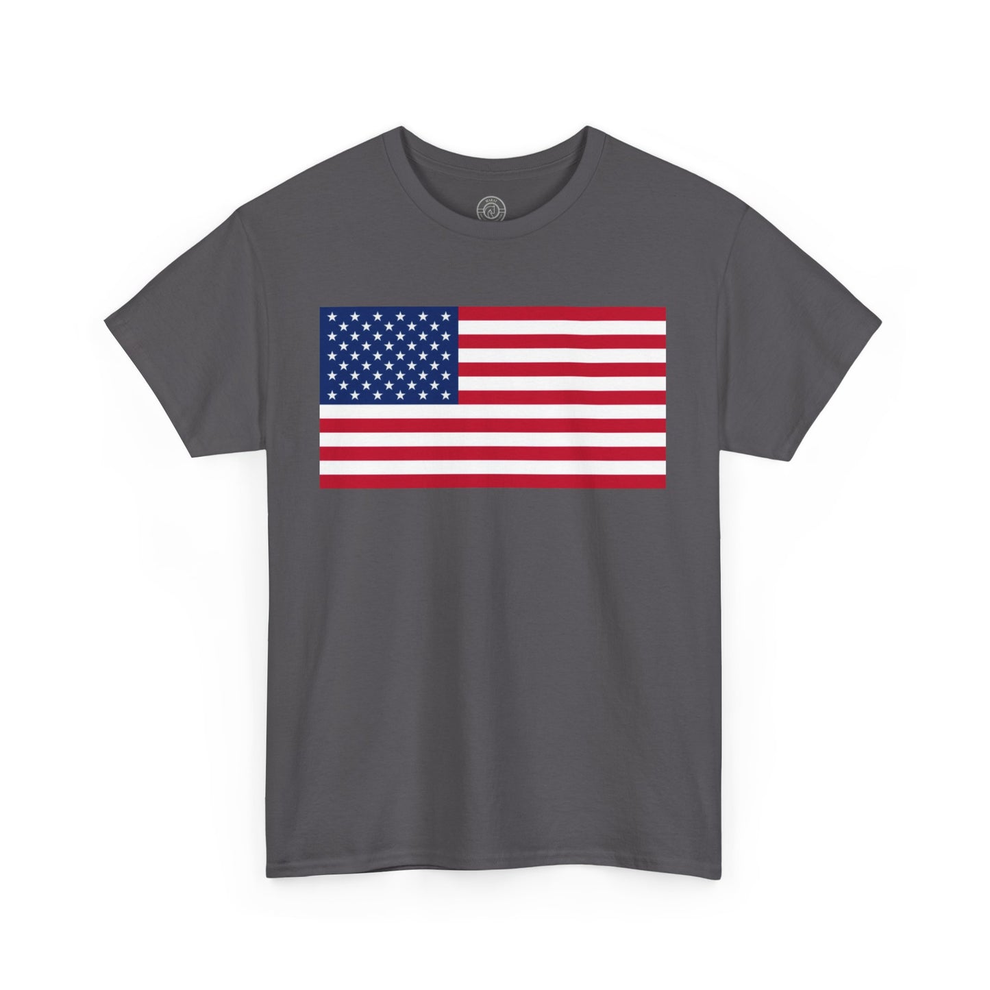 Unisex USA Tee